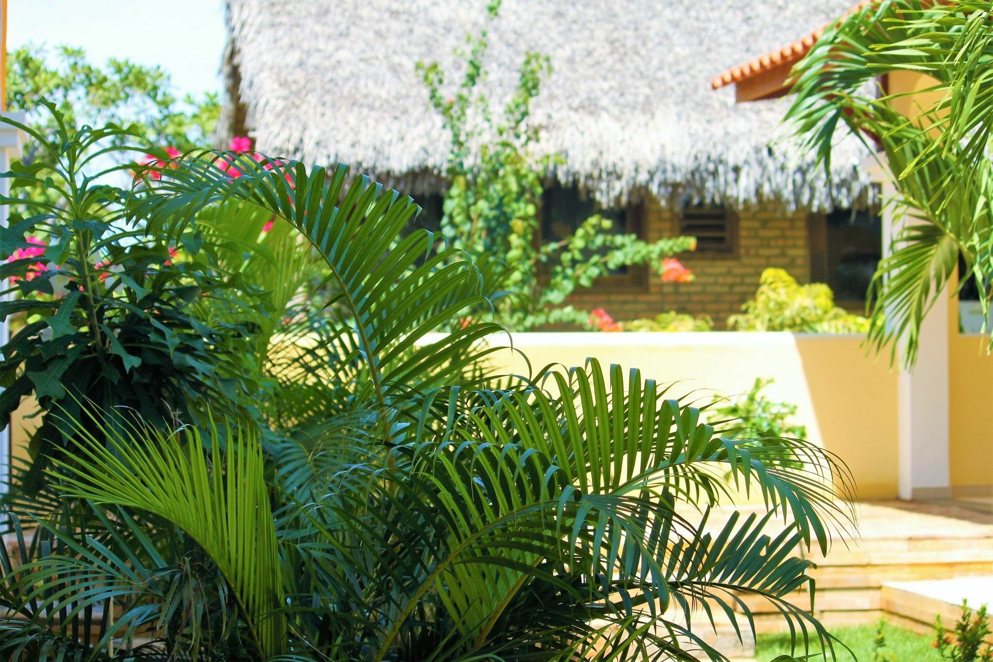 Hotel Villa Beija Flor Jijoca de Jericoacoara Exterior photo