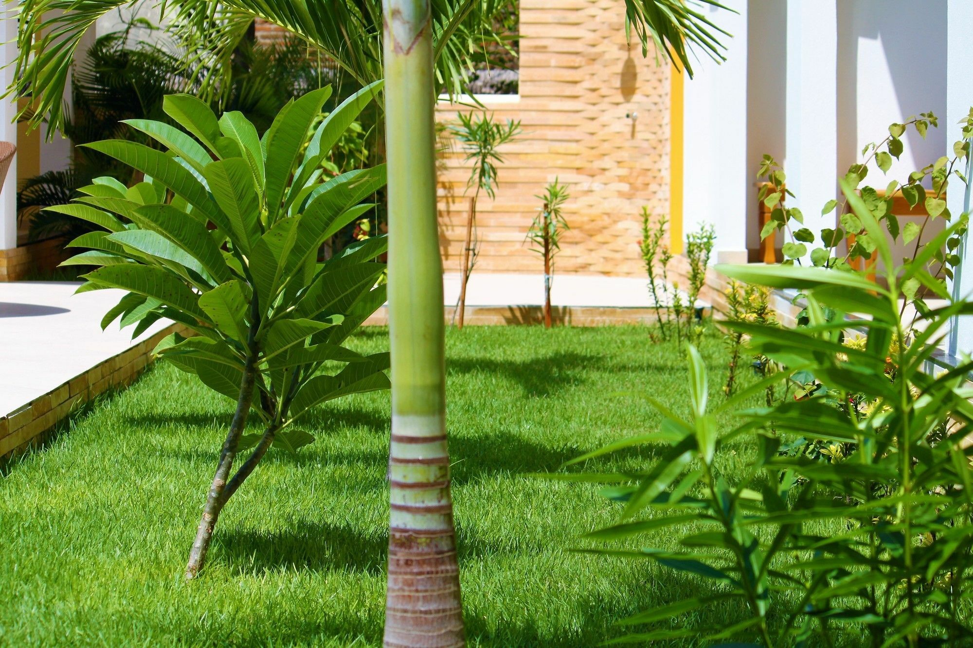 Hotel Villa Beija Flor Jijoca de Jericoacoara Exterior photo